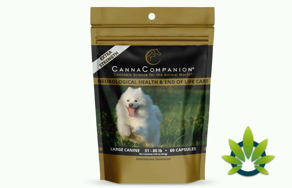 Canna Companion Pet Supplements: Whole Plant Hemp Oil for Dogs and Cats