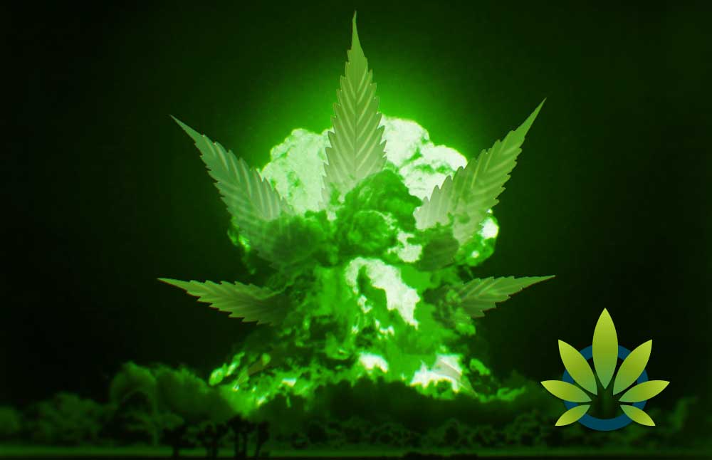 Are Drugs Weapons Of Mass Destruction And Is CBD A Healthier Alternative To Fenatyl?