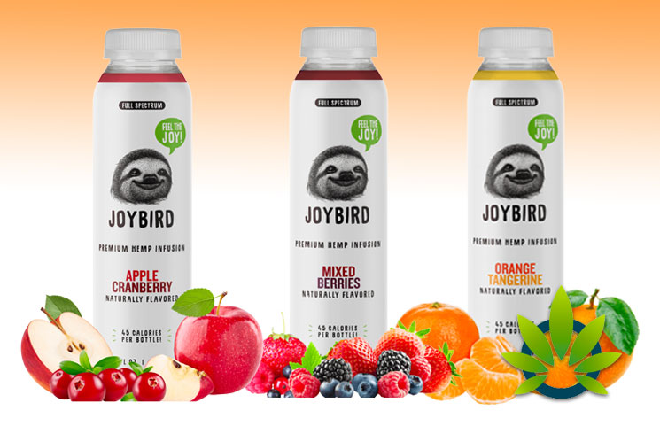 JOYBIRD: Full Spectrum Premium Hemp CBD-Infused Drink Beverages?