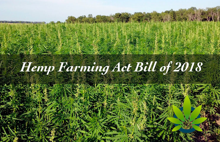 Legal Analysis of the Hemp Farming Act Bill of 2018: What is CBD Oil's Status?