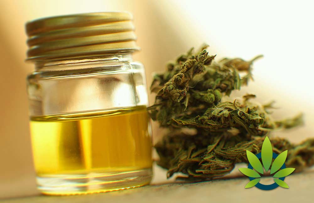 New to CBD Oil? Here's the Importance of Using High-Quality Cannabis Oil Supplementation