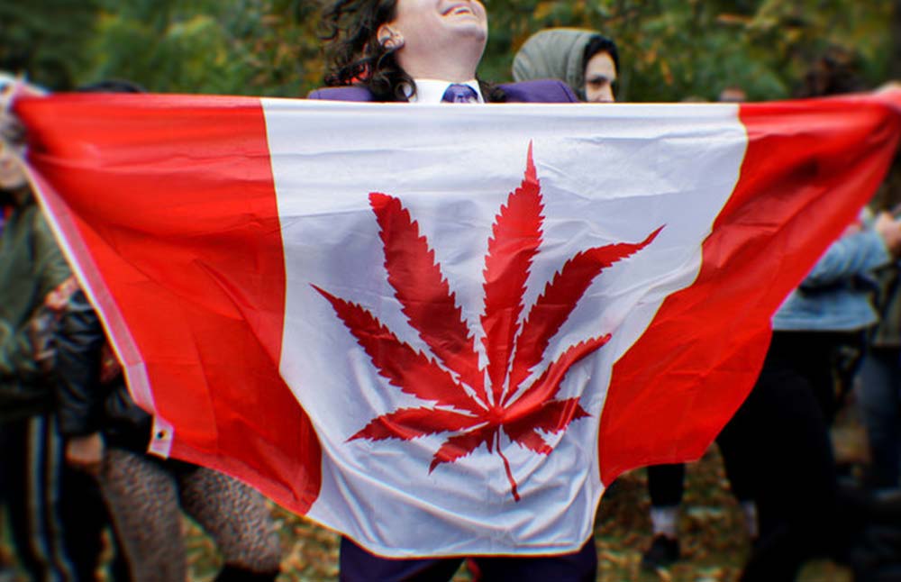 What Marijuana Users Need To Know About Legalized Weed In Canada