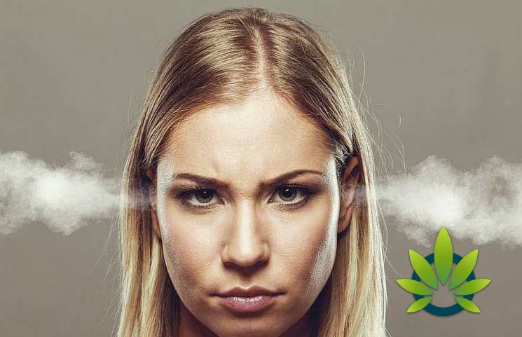 5 Reasons Why CBD Might Not Work For You Or Feel The Effects Of Cannabidiol