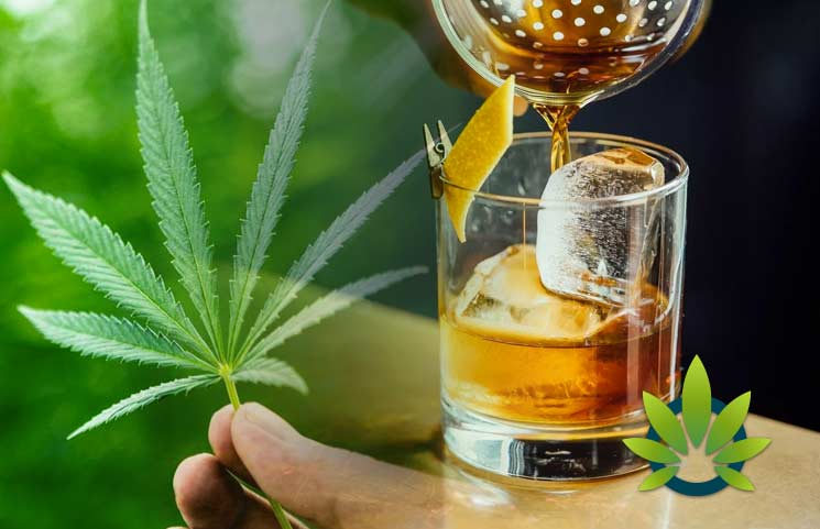 CBD "Gold Rush": How Hemp And Medical Marijuana's Industry Is About To Boom, And Bank