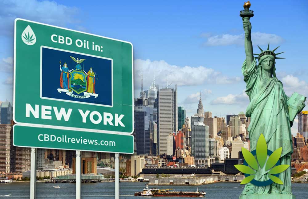 cbd oil in new york