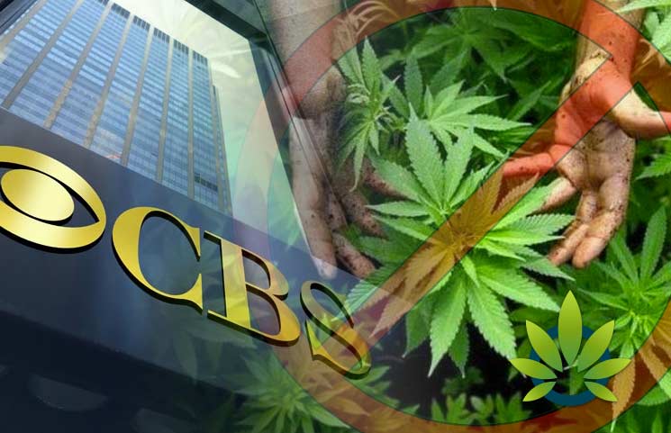 CBS-Rejects-Medical-Marijuana-Advertisement-from-Super-Bowl-Commercials