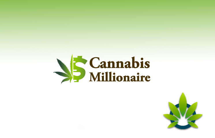 cannabis millionaire trader