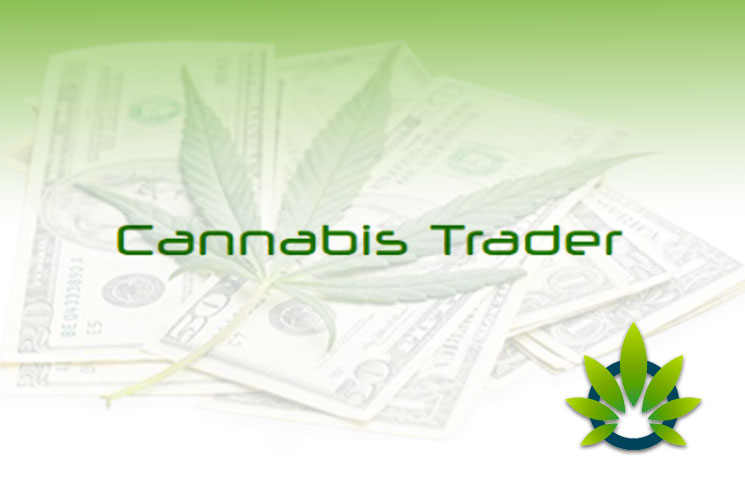 cannabis trader