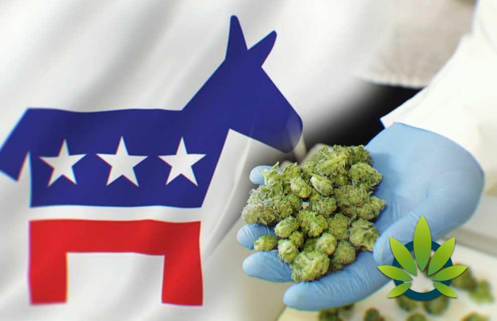 Democrat-Spending-Bill-Protects-Medical-Marijuana