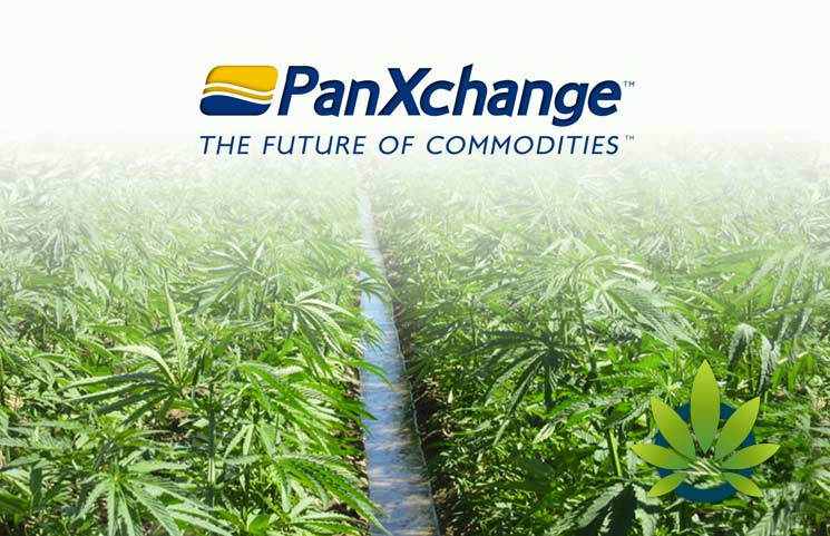 Denver-Based OTC Exchange PanXchange Launches Industrial Hemp Pricing As An Industry First Platform