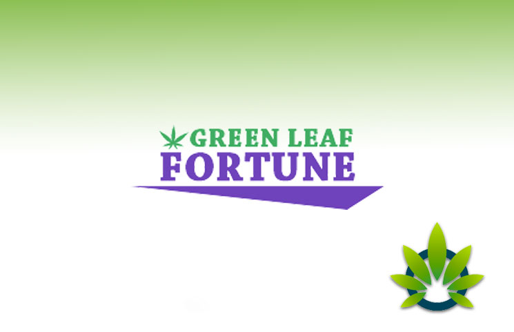 Green Leaf Fortune