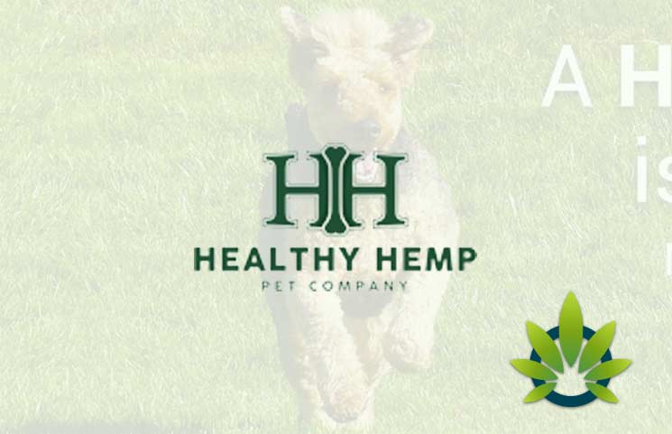 healthy hemp pet