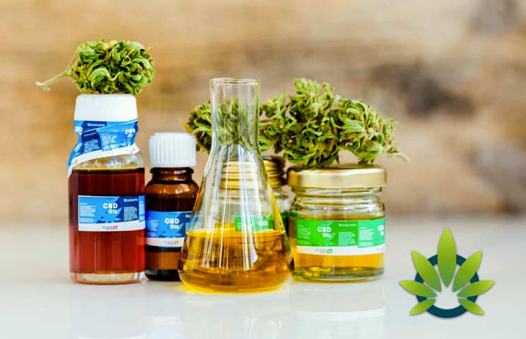 How-to-Find-Places-to-Buy-CBD-Oil-Supplements-Near-You