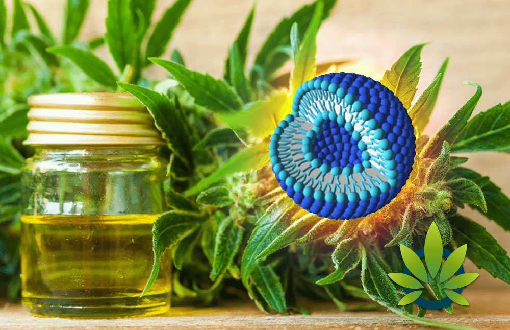 Liposome Benefits Prove to be a Perfect Pair for CBD (Cannabidiol)