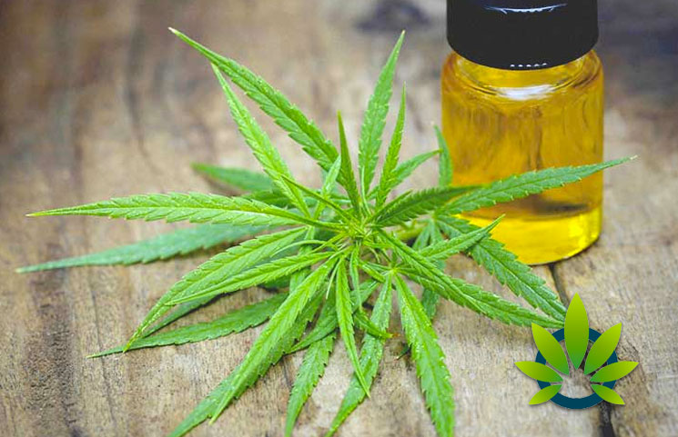 CBD Oil Product Ingredients: Analyzing All the Constituents of Cannabidiol Supplements
