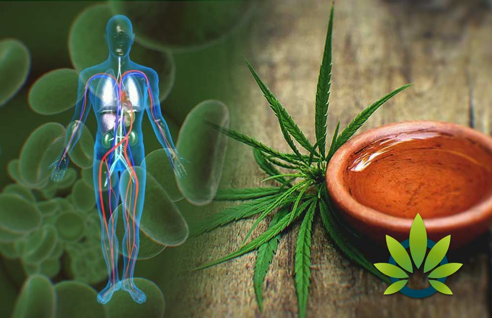 Waiting for CBD to Work in the Body – What to Expect