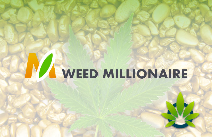 Weed Millionaire App