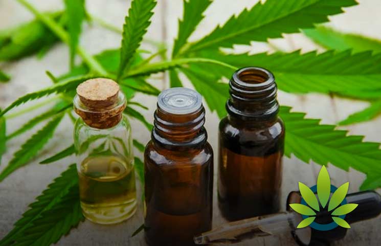 6 Reasons Why People Prefer CBD Oil Hemp Extracts To Cannabis Flowers